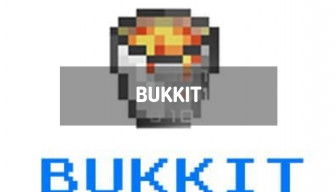 Bukkit