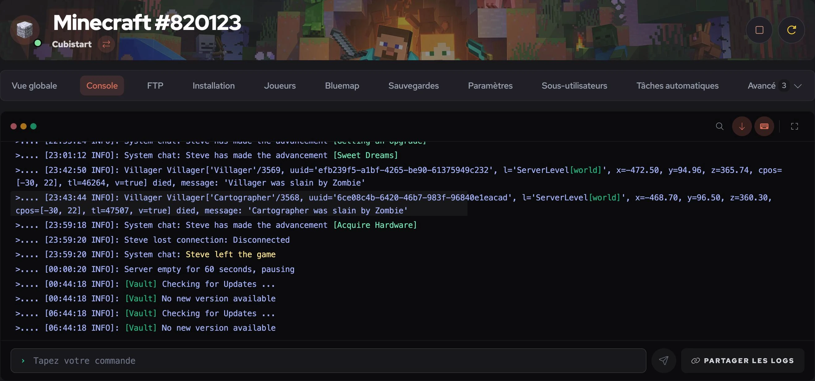 Live console of a Minecraft server