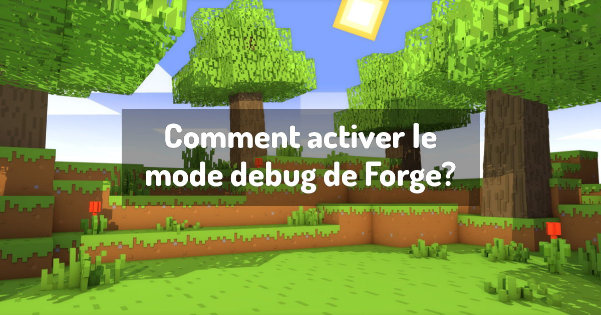 Comment Activer Le Mode Debug De Forge Guides Debug Optimisation Comment Activer Le Mode Debug De Forge Guides Debug Optimisation