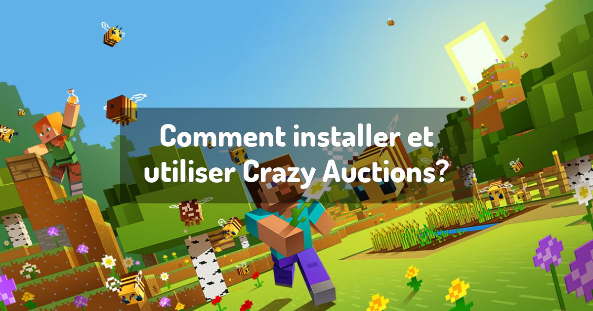 Comment installer et utiliser Crazy Auctions?
