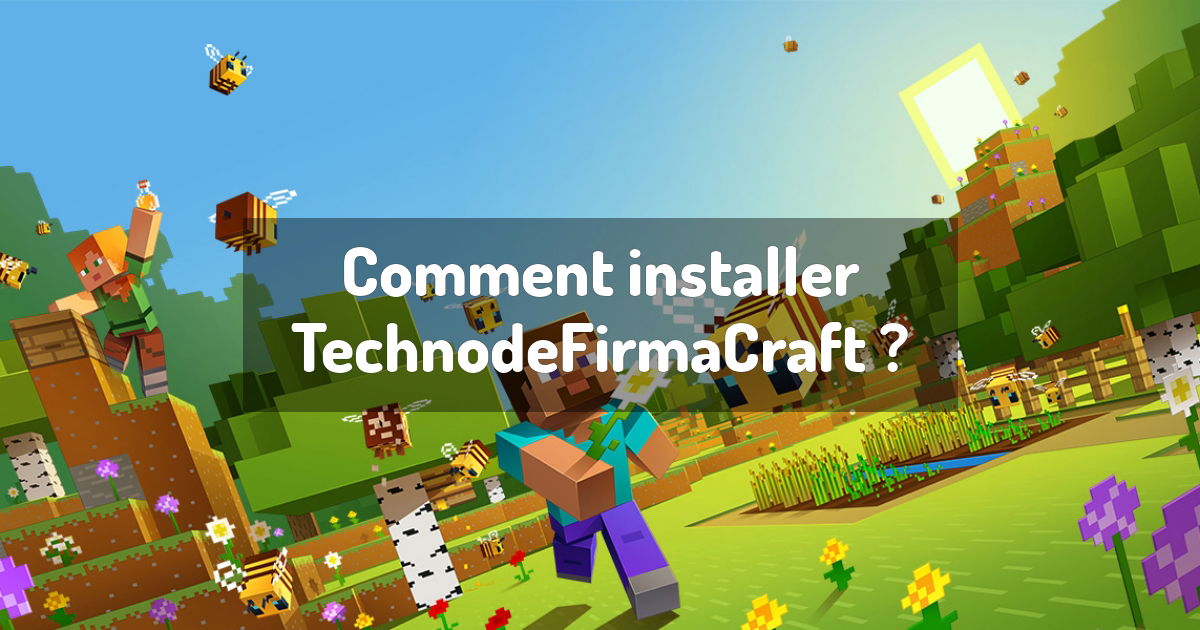 Comment installer TechnodeFirmaCraft ?