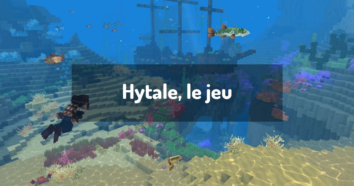 Hytale, le jeu