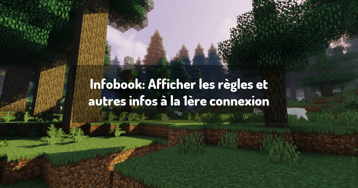 Infobook: Afficher les règles et autres infos à la 1ère connexion