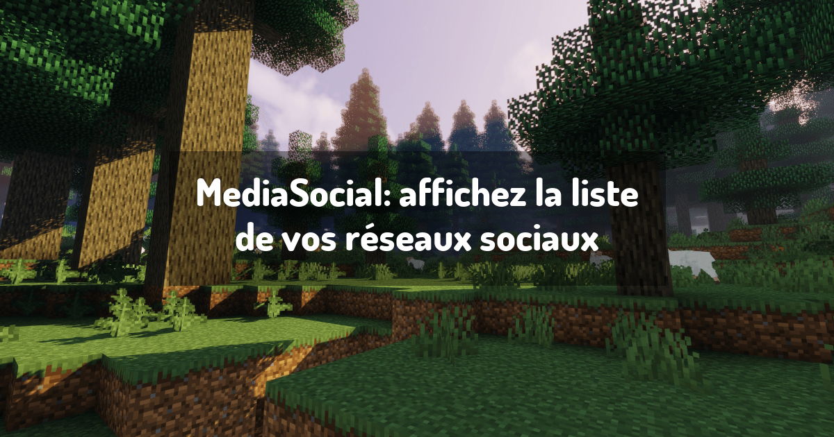 MediaSocial: affichez la liste de vos réseaux sociaux