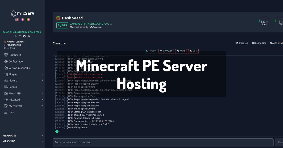 server hosting minecraft