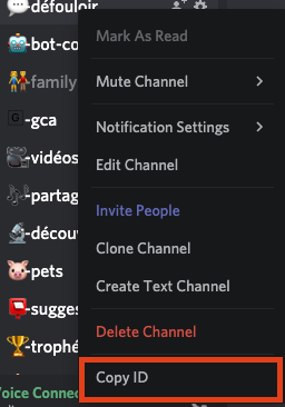 How to Enable Developer Mode on Discord 